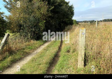 Pilgrims Way/North Downs Way tra Cobham Farm e Hart Hill Farm, Charing, Ashford, Kent, Inghilterra, Regno Unito Foto Stock