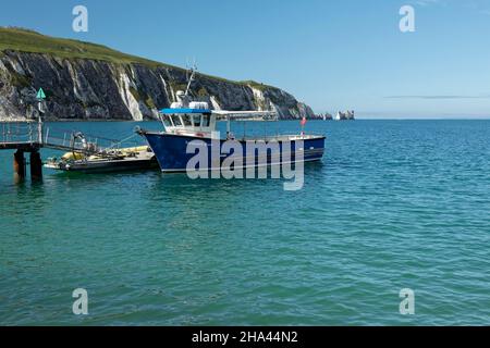 Barca turistica la rosa di Yarmouth che fornisce viaggi fuori agli aghi sull'isola di wight. Foto Stock