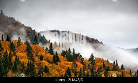 Magnifica giornata di autunno colorato nel parco fluviale Jacques Cartier, Quebec, Canada Foto Stock