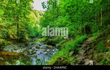 sentiero escursionistico sulla buchberger leite nella foresta bavarese Foto Stock