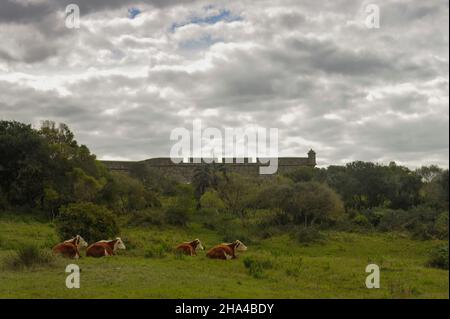 Fortezza di Santa Teresa in Rocha d'Uruguay. Foto Stock