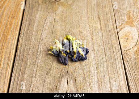 Molta clitoria ternatea secca intera su legno vecchio in piccolo gruppo Foto Stock