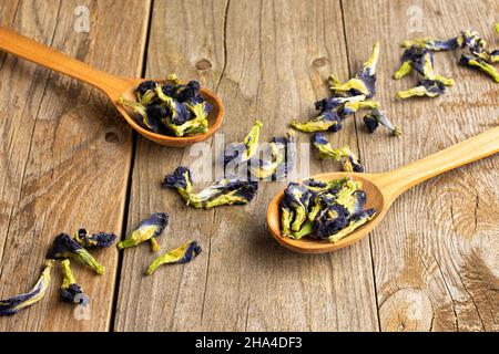 Molto clitoria ternatea secca intera in un cucchiaio di legno su legno vecchio Foto Stock