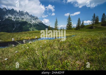 laghetto di montagna con salder kaiser che si riflette in acqua, tirolo - austria. Foto Stock