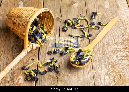 Molto clitoria ternatea secca intera in un cucchiaio di legno con setaccio di bambù su legno vecchio Foto Stock