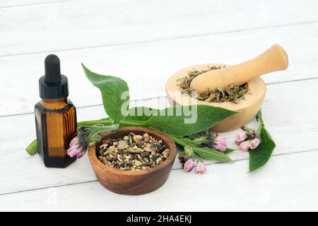 Comfrey herb usato in medicina naturale alternativa di erbe vegetali. Tratta problemi della pelle, ustioni, gonfiore, distorsioni e lividi. IO Foto Stock