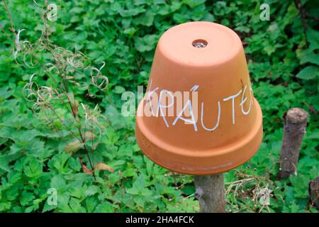 aiuole con erbe di iscrizione, decorativo in un letto di erbe, erbacce,germania,baviera,alta baviera, Foto Stock