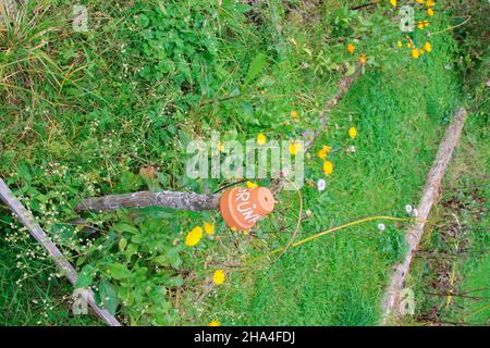 aiuole con marigolds ed erbe varie, erbacce, confine del letto, germania, baviera, alta baviera, Foto Stock