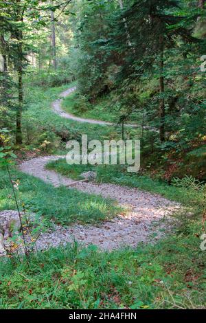 percorso vicino a wallgau attraverso una foresta mista in autunno, walchensee, obernach, alta baviera, baviera, germania, europa Foto Stock