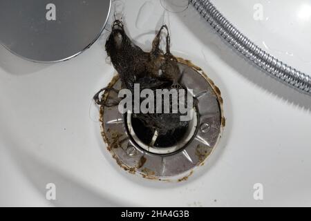 Sifone di scarico dei capelli nella doccia. Tubo flessibile e orifizio. Molti peli hanno causato un'ostruzione del tubo e danni all'acqua. Vista dall'alto. Foto Stock