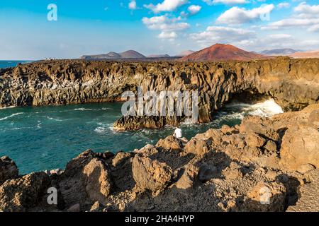 giovane uomo siede su una roccia e gode della vista, la costa di roccia lavica di los hervideros, lanzarote, canari, isole canarie, spagna, europa Foto Stock