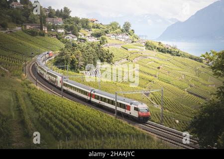 treno che attraversa i vigneti dalla vista aerea Foto Stock