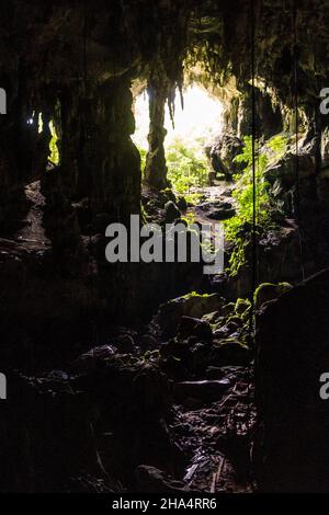 Ingresso della Grande Grotta nel Parco Nazionale di Niah, Malesia Foto Stock