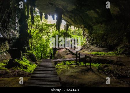 Ingresso della Grande Grotta nel Parco Nazionale di Niah, Malesia Foto Stock