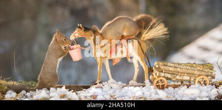 Gli scoiattoli rossi su un cavallo con carro caricato con legno in neve Foto Stock