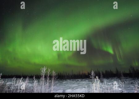 Aurora boreale sopra la tundra coperta di neve Foto Stock