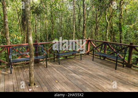 Area di riposo in una foresta di Kinabalu Park, Sabah, Malesia Foto Stock