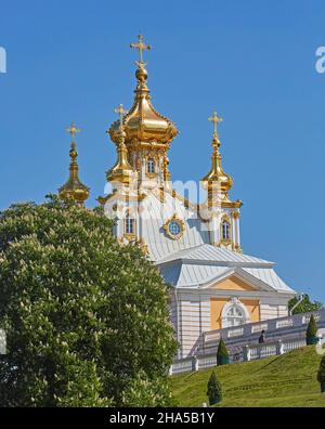 Vista dal Parco inferiore alla chiesa di Peterhof, Petergóf vicino a San Pietroburgo, Golfo di Finlandia, Russia, Europa Foto Stock