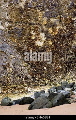 europa,irlanda del nord,contea antrim,causeway coast,rocce bianche vicino portrush,pietra calcarea bianca dell'ulster,pietra calcarea bianca del guscio,pietra basaltica nera,spiaggia sabbiosa Foto Stock