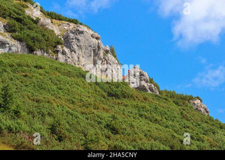 salita a bärenkopf (1991m),parete rocciosa,campo di pino di montagna,pietra,escursionisti che discendono dalla cima,cielo blu,achensee,tirolo,austria Foto Stock