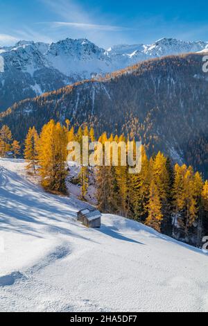 capanne tradizionali in legno ad arabba, prima neve autunnale con larici gialli,arabba,livinallongo del col di lana,belluno,dolomiti,veneto,italia Foto Stock