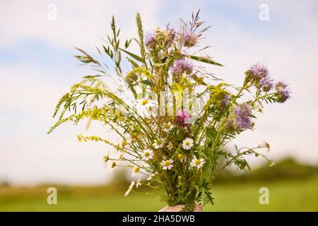 estate, bouquet, fiori selvatici Foto Stock