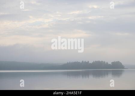 germania,meclemburgo-pomerania occidentale,feldberger seenland,lago,luzin,nebbia Foto Stock