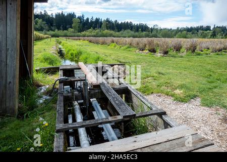 Vista di un coltivatore di acqua di irrigazione capannone su una grande zona di terreno agricolo nel Pacifico nord-occidentale in una giornata luminosa e soleggiata Foto Stock