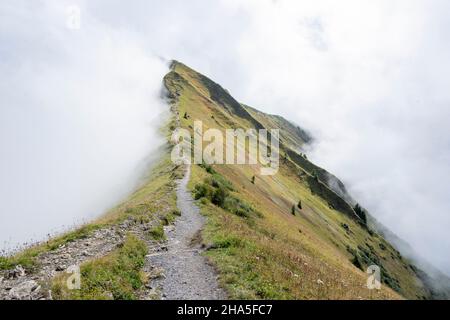 austria, kleinwalsertal, sentiero escursionistico da fellhorn a kanzelwand. Foto Stock