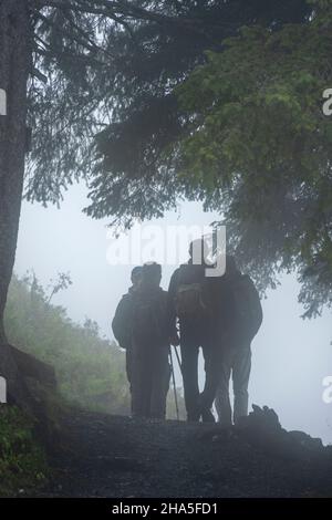 austria, kleinwalsertal, escursionisti nella nebbia. Foto Stock