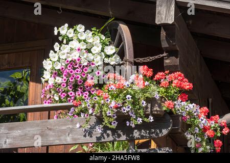 austria, kleinwalsertal, balcone verde. Foto Stock