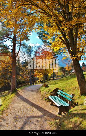 sentiero escursionistico attraverso la foresta colorata decidua con posti a sedere per un riposo vicino mittenwald, germania, baviera, alta baviera, werdenfelser terra Foto Stock