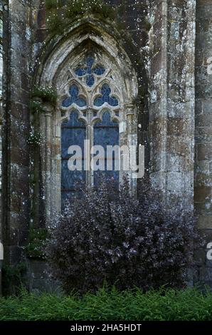 chiostro della cattedrale,basilka saint-tugdual,tréguier,cotes-d'armor,bretagna,francia Foto Stock