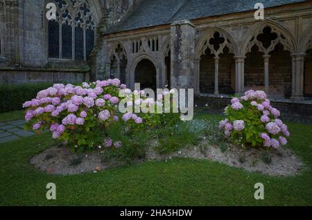 chiostro della cattedrale,basilka saint-tugdual,tréguier,cotes-d'armor,bretagna,francia Foto Stock