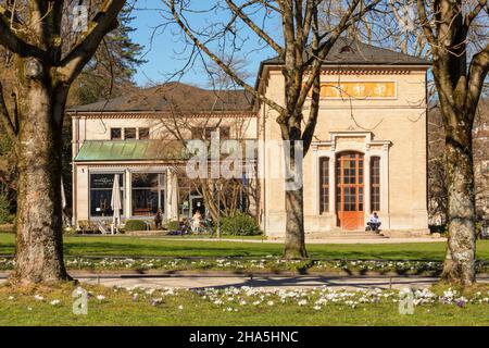 fiore di crocus di fronte alla sala pompe in baden-baden, foresta nera, baden-wuerttemberg, germania Foto Stock