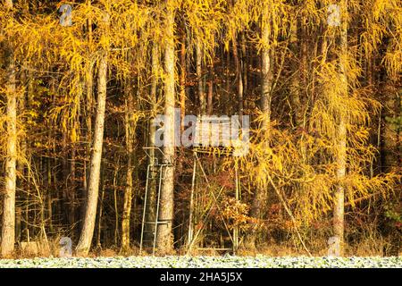 atmosfera autunnale nel distretto Foto Stock