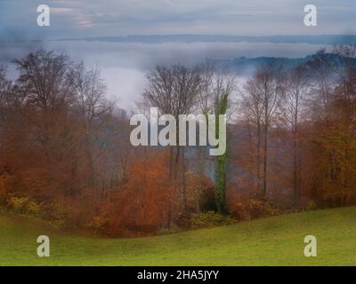 autunno foresta, exposure sperimentale a lungo Foto Stock