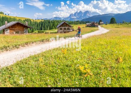 ciclista in e-bike tra le capanne della fuciade con la pallida catena montuosa di san martino sullo sfondo, comune di soraga,trento,trentino,italia Foto Stock