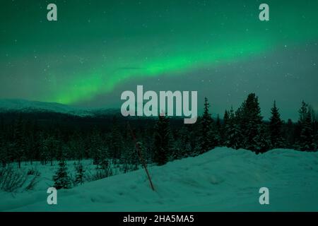 aurora boreale,pallastunturi,lapponia,finlandia Foto Stock