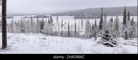 vista da särkitunturi a pallastunturi, muonio, lapponia, finlandia Foto Stock