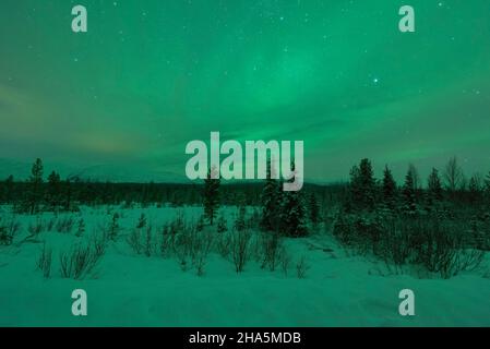 aurora boreale,pallastunturi,lapponia,finlandia Foto Stock