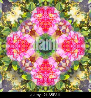 mandala, fiori, foglie Foto Stock