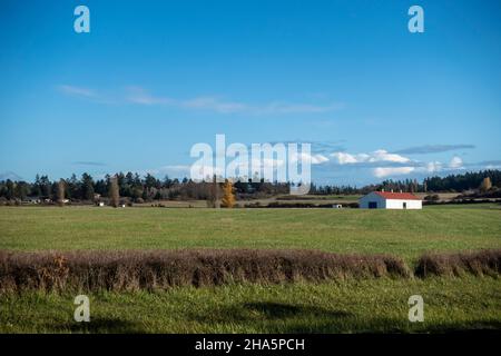 Ampia vista panoramica di un fienile bianco su un grande appezzamento di terreno agricolo nel Pacifico nord-occidentale Foto Stock