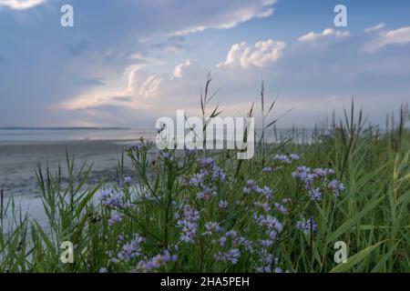 tempesta di umore al mar baltico a stein, germania. Foto Stock