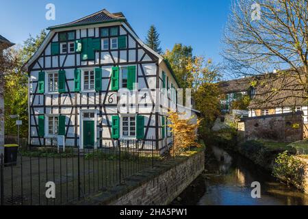 germania,haan,bergisches terra,niederbergisches terra,niederberg,renania,renania settentrionale-vestfalia,renania settentrionale-vestfalia,haan-gruiten,villaggio storico gruiten,canonica sul duessel,casa a graticcio con persiane verdi,atmosfera autunnale Foto Stock