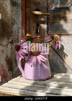 caraffa rosa in ceramica con cappello da sole o echinacea su un tavolo di legno davanti a una vecchia porta di legno Foto Stock