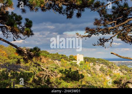 mödling,naturpark föhrenberge (parco naturale di föhrenberge),schwarzer turm (torre nera),alberi di pino austriaco (pino nero, pinus nigra) a wienerwald,boschi di vienna,niederösterreich / bassa austria,austria Foto Stock