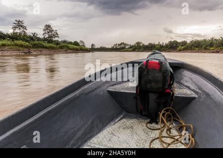 Vista da una barca che viaggia sul fiume Kinabatangan, Sabah, Malesia Foto Stock