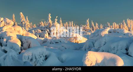 inverno allo schliffkopf, foresta nera, baden-wuerttemberg, germania Foto Stock