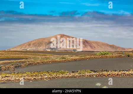 agricoltura nel paesaggio vulcanico,vicino mancha blanca,tinajo,lanzarote,canarie,spagna,europa Foto Stock